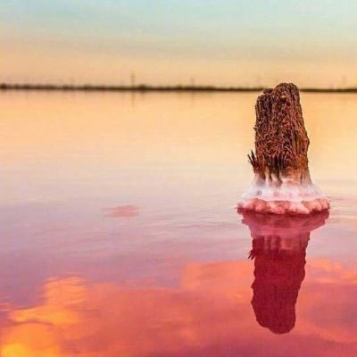 博鱼电竞下载手机版