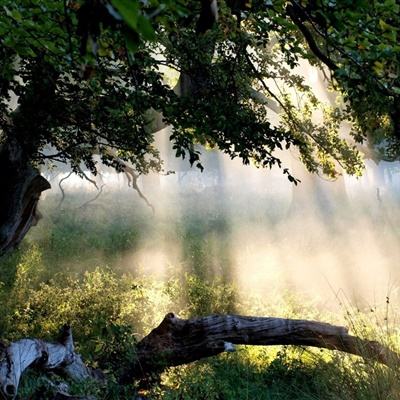 BOB体育综合下载平台