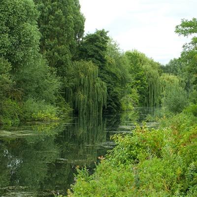 一码一肖100准资料应用下载手机版