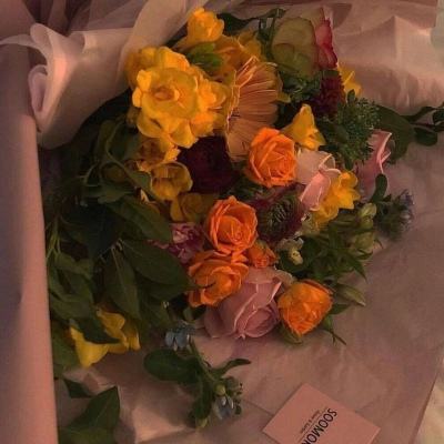 b体育手机版官网最新版本下载