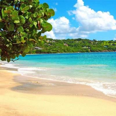 官方盈彩app下载