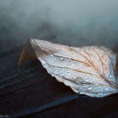 Kaiyun体育官方入口