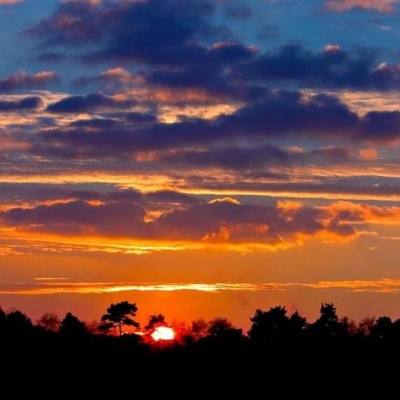 万博体育最新下载链接