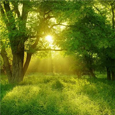 金年会app官方网址